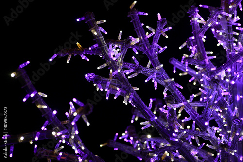 Part of holiday Christmas tree decorating with violet and white flashing lights at night. Detail of New Year decorations, string rice lights bulbs. Ornaments to christmas celebration, holiday scene.