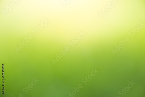Green Abstract bokeh from nature background