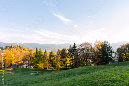 Green lawn in city park under sunny light © Roman's portfolio