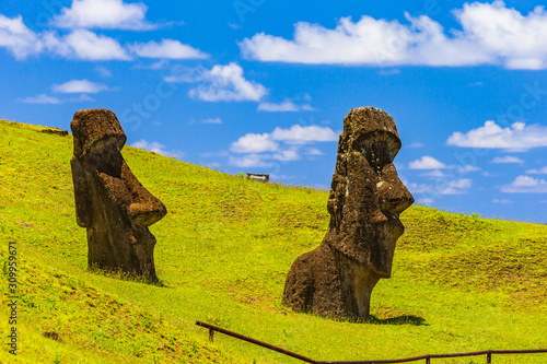 Moai statues in the Rano Raraku Volcano in Easter Island, Rapa Nui National Park, Chile photo