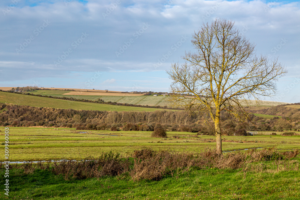 A view across fields in the South Downs on a sunny winters day A view across fields in the South Downs on a sunny winters day