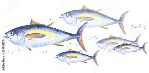 School of bigeyes tuna, Thunnus obesus. Watercolor illustration of blue and yellow fishes on white background