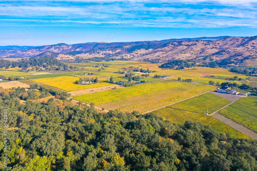Aerial view of the verdant hills with trees in Napa Valley 