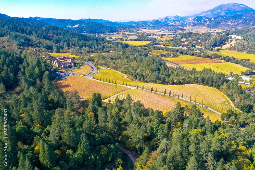 Luftaufnahme der grünen Hügel mit Bäumen in Napa Valley