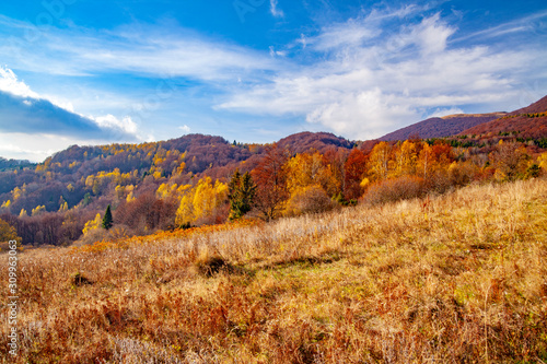 Fototapeta Naklejka Na Ścianę i Meble -  Landscape of autumnal peaks of the Carpathians.
