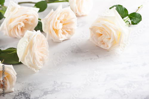 Beautiful white roses flowers .