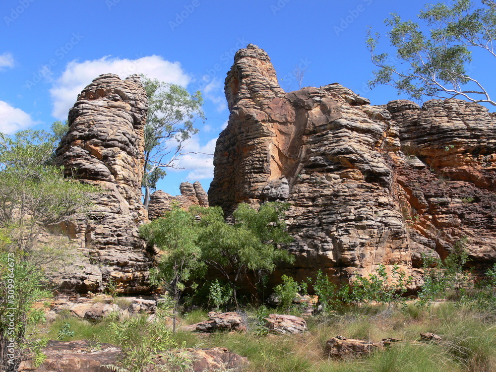 Rock formation in the Caranbirini Conservation Reserve in the Northern Territory of Australia 