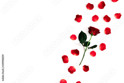 Beautiful flowers minimal composition. Red rose  rose petals on white background. Valentine s Day  Happy Women s Day. Flat lay  top view  copy space