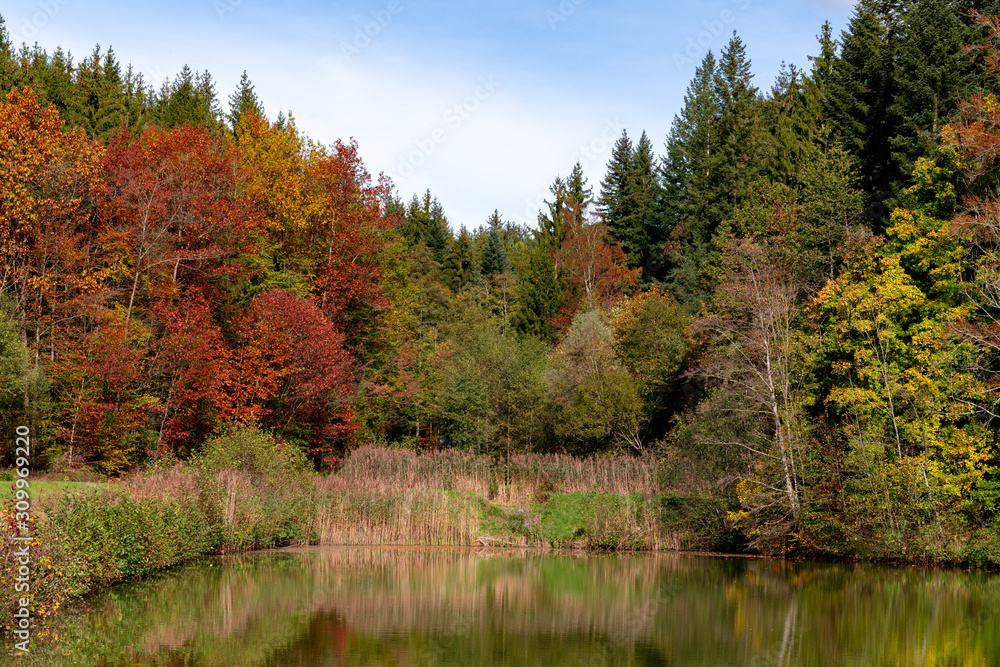 autumn landscape with river and trees autumn landscape with river and trees