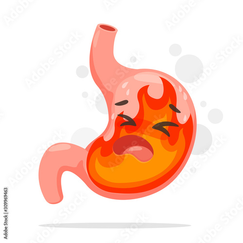 Cartoon stomach suffering from acid reflux. A stomach that burning like a fire From acid reflux.