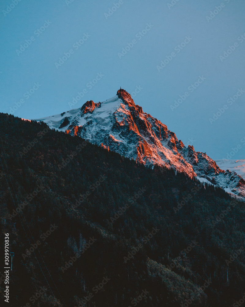 Mountain peaks in Chamonix-Mont-Blanc. France. French alps, beautiful trees. National park.