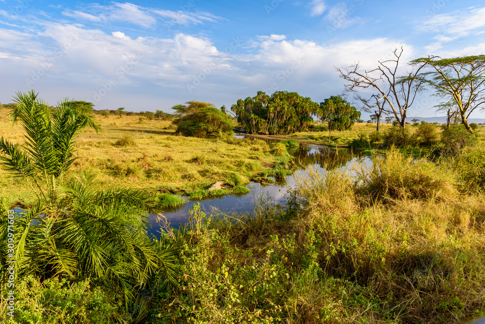 River and Lake in beautiful landscape scenery of Serengeti National Park, Tanzania - Safari in Africa River and Lake in beautiful landscape scenery of Serengeti National Park, Tanzania - Safari in Africa