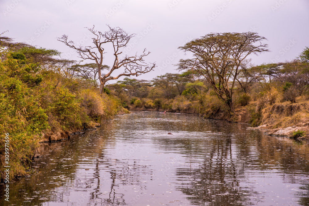 River and Lake in beautiful landscape scenery of Serengeti National Park, Tanzania - Safari in Africa River and Lake in beautiful landscape scenery of Serengeti National Park, Tanzania - Safari in Africa