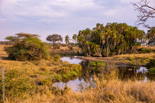 River and Lake in beautiful landscape scenery of Serengeti National Park, Tanzania - Safari in Africa