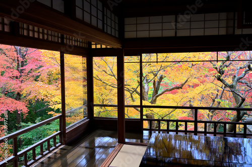 和室から眺める日本庭園