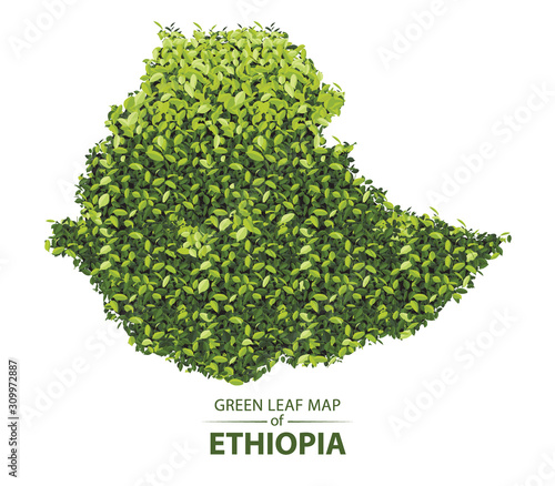 Green leaf map of Ethiopia vector illustration of a forest is concept