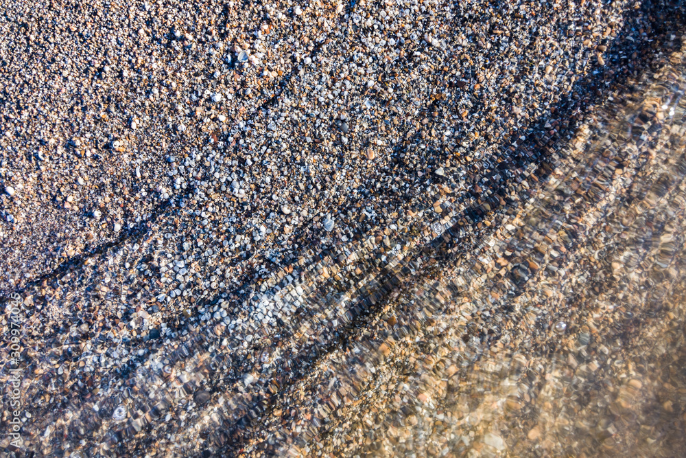 Closeup of miniature sea shells in sand Closeup of miniature sea shells in sand
