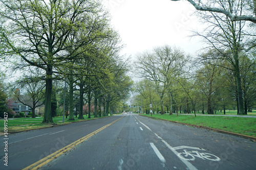 Wallpaper Mural Natural landscape street and footpath among St.Louis forest park- Missouri, United States Torontodigital.ca