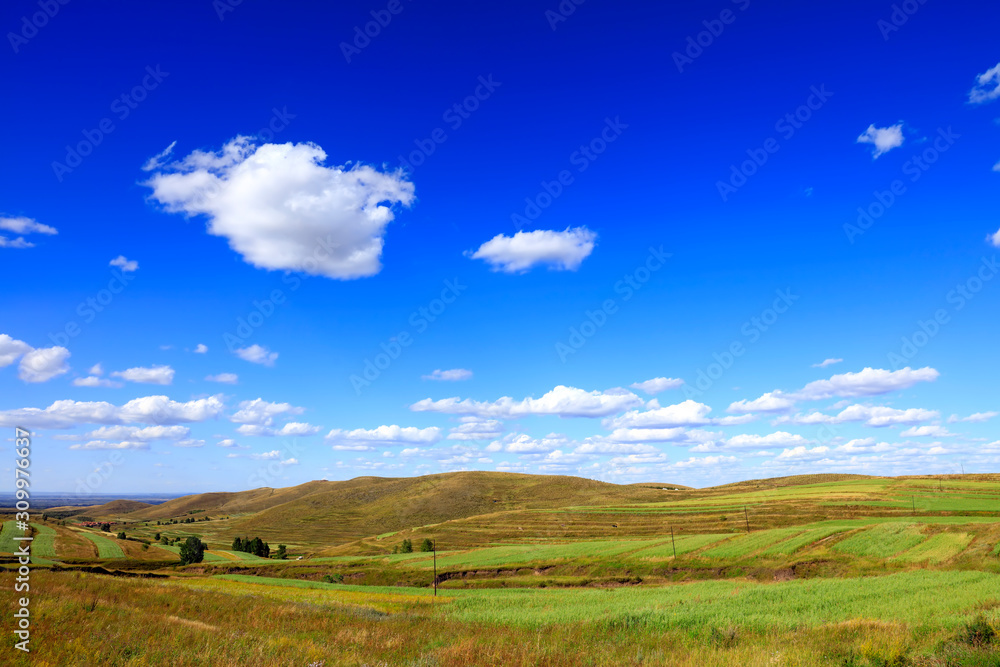 The beautiful scenery of the grassland The beautiful scenery of the grassland
