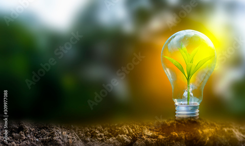 Stampa su Tela Renewable energy concept Earth Day or environment protection Hands protect forests that grow on the ground and help save the world