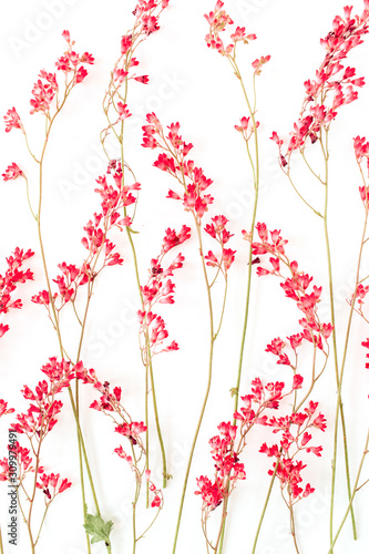 Red wildflowers pattern on white background.