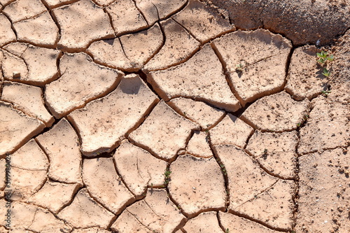 Dry Waterless Soil in Summer Close Up