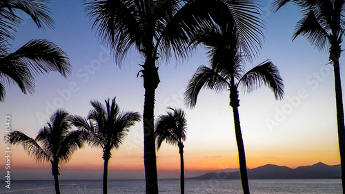 Palm trees an sunset in Puerto del Carmen, Lanzarote, Canary Islands. © Jan