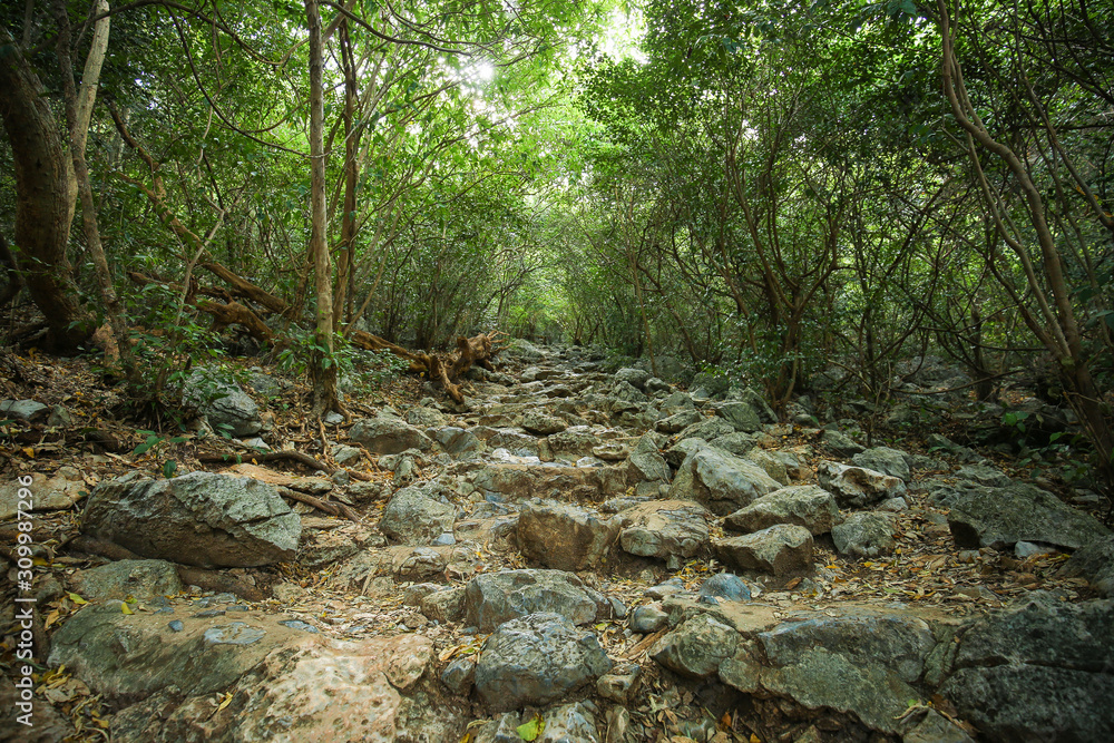 Walk way up to Phraya nakhon cave Khao sam roi yot national park Thailand Walk way up to Phraya nakhon cave Khao sam roi yot national park Thailand