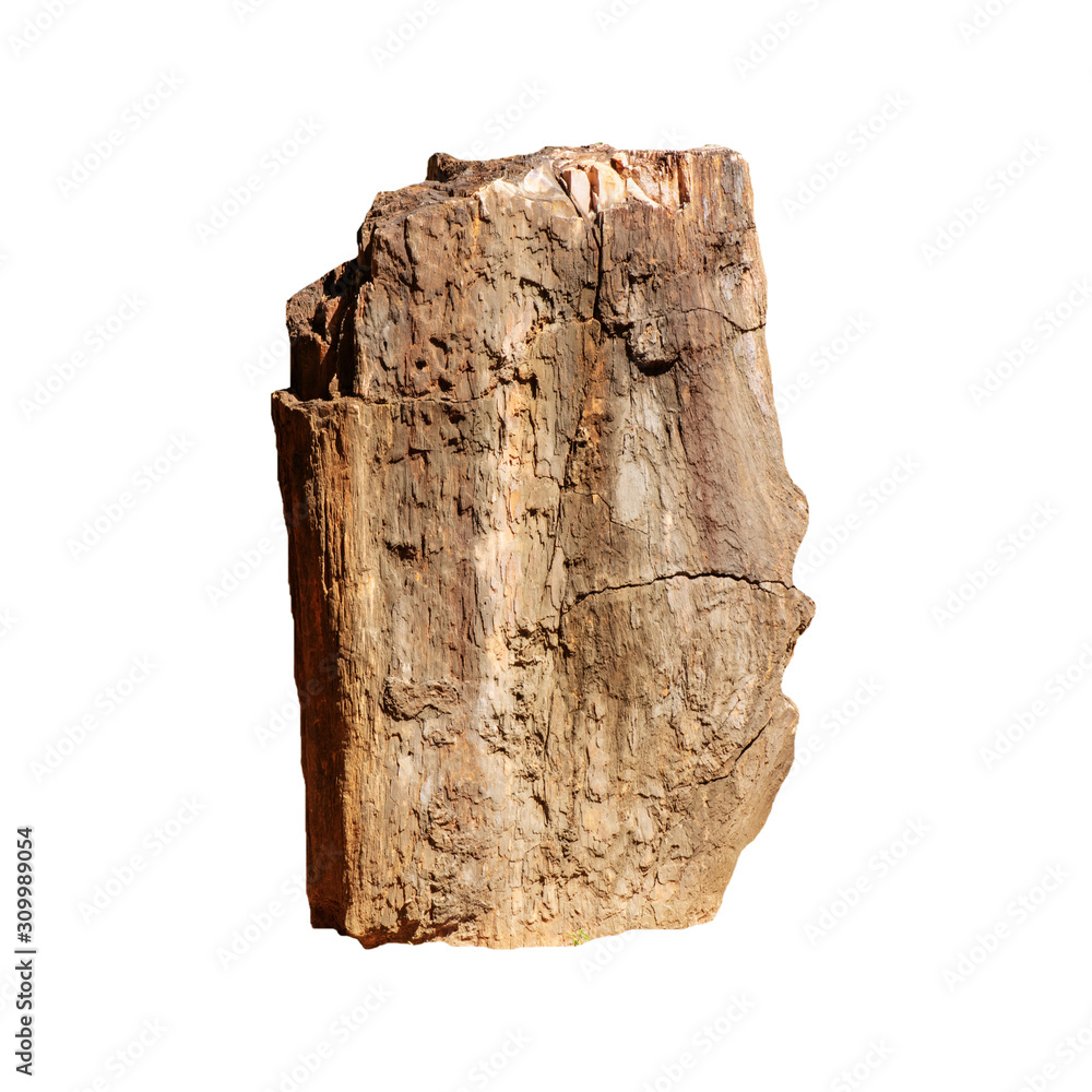 Big stone brown (bogwood) Isolated on the white background. Big stone brown (bogwood) Isolated on the white background.