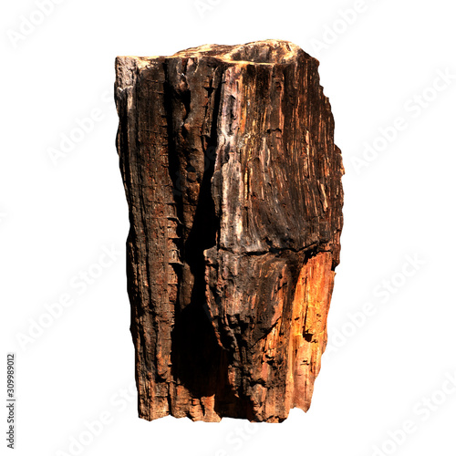 Big stone brown (bogwood) Isolated on the white background.