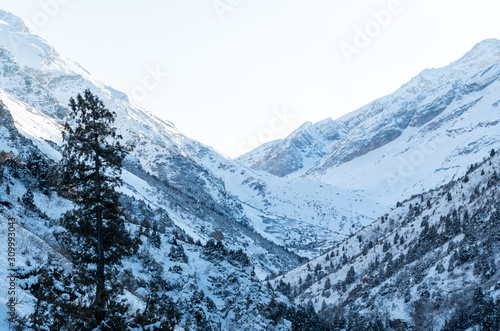 Winter in the mountains in unbreaked weather © ROMAN_P
