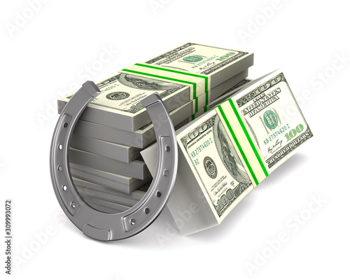 horseshoe and money on whit...