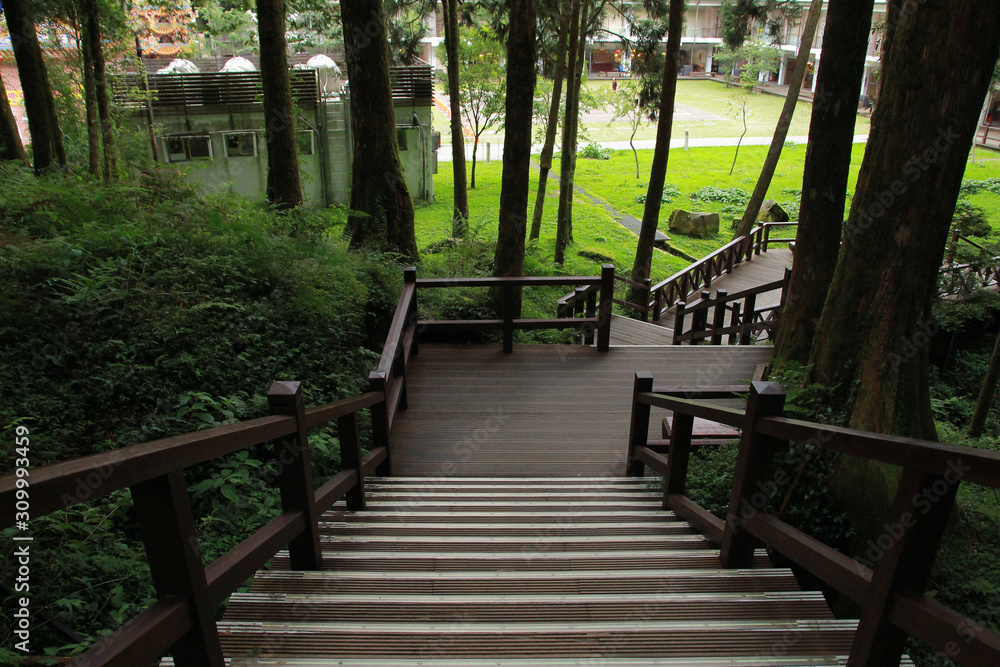 beautiful wooden walkway in Alishan National Forest Recreation Area in Chiayi County, Alishan Township, Taiwan