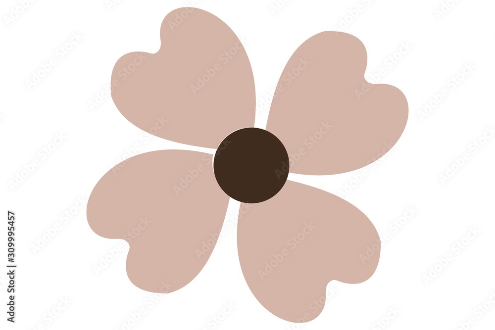Flor / Flower Flor / Flower