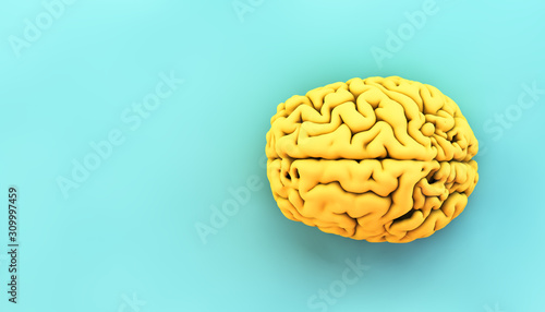 Obraz na plátně minimal yellow brain