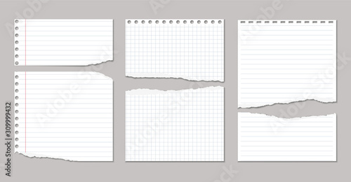 Torn white, squared and lined note, notebook paper pieces stuck on grey background. Vector illustration
