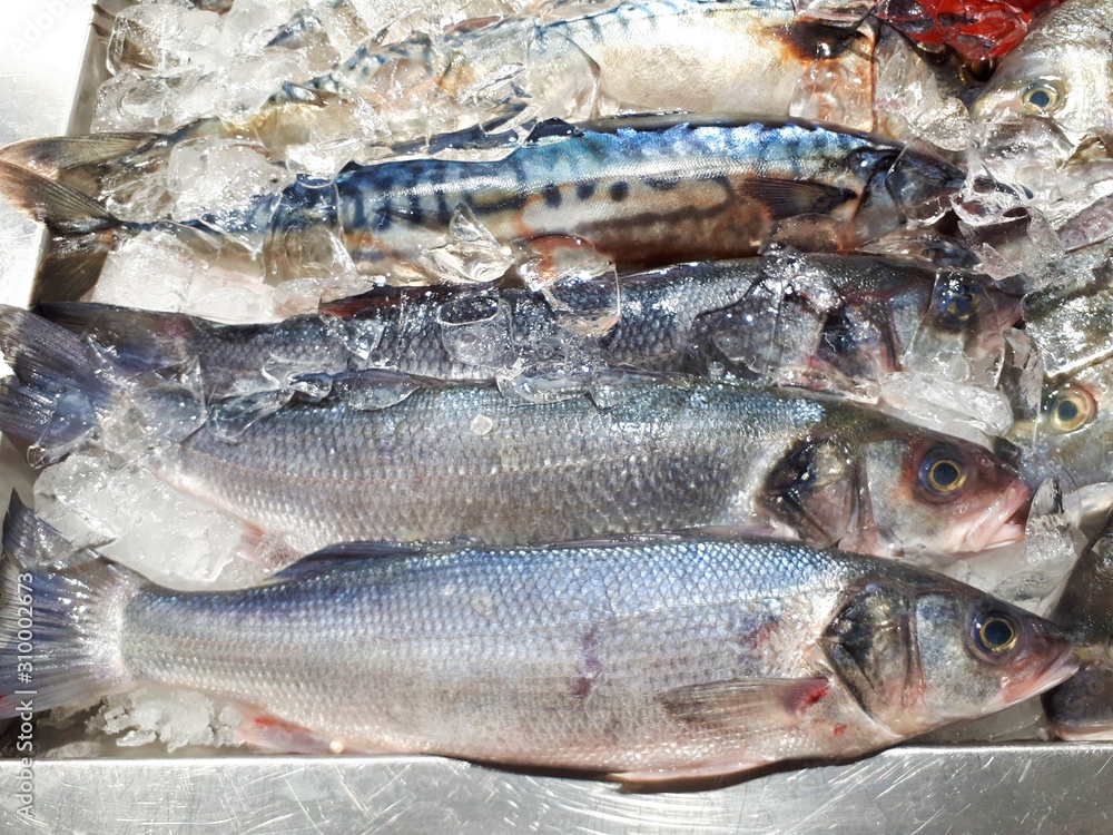 close-up of fresh raw healthy fish on ice in a store	