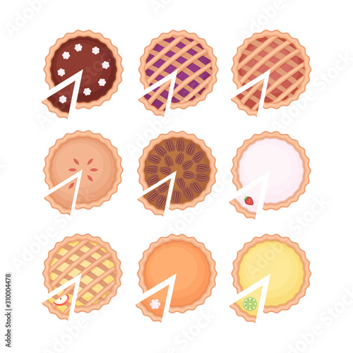 Homemade pieand pie slice set with different fruit filling. Flat vector illustration isolated on white background. © budolga