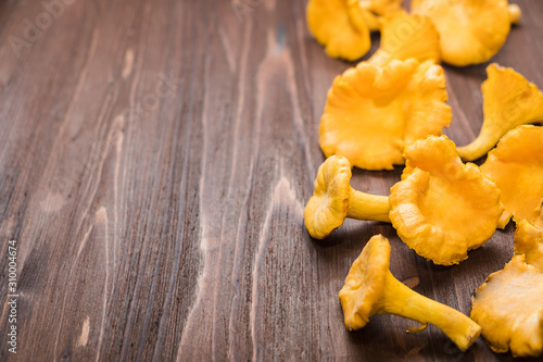background with place for text from orange chanterelle mushrooms