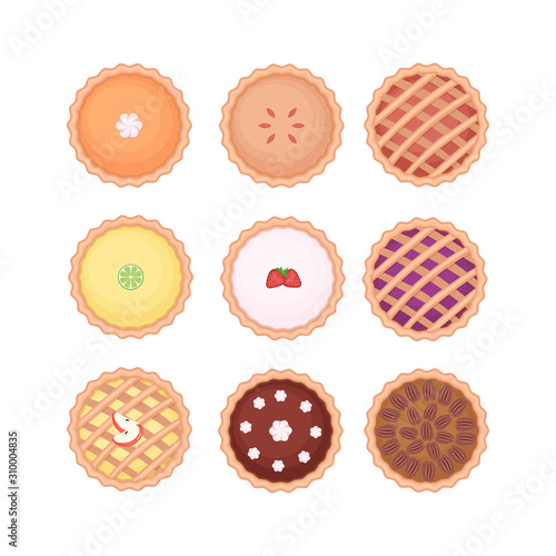 Set of different homemade pies. Pumpkin, apple, fruit, chockolate and pecan pies.