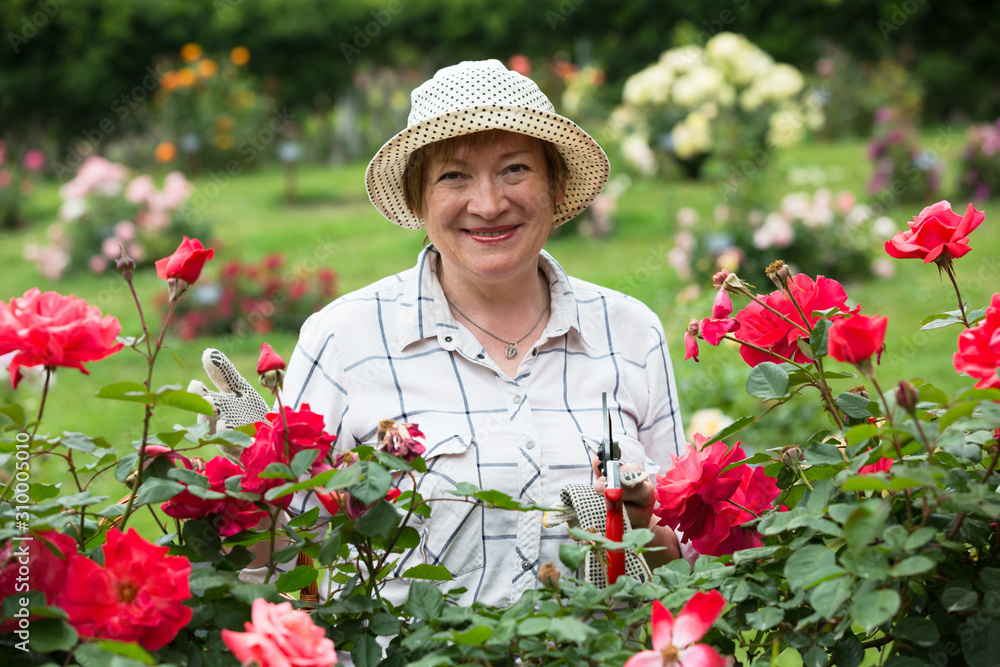 retiree woman roses
