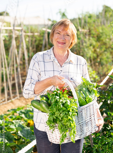 Mature gardener with harvested greens