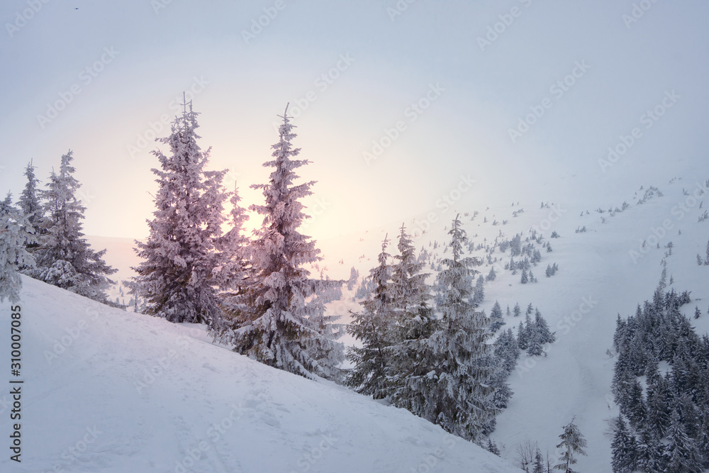 Beautiful Winter Mountain Landscape with Snow Covered Fir Trees in Bright Sun Light and Morning Fog. Beautiful Winter Mountain Landscape with Snow Covered Fir Trees in Bright Sun Light and Morning Fog.