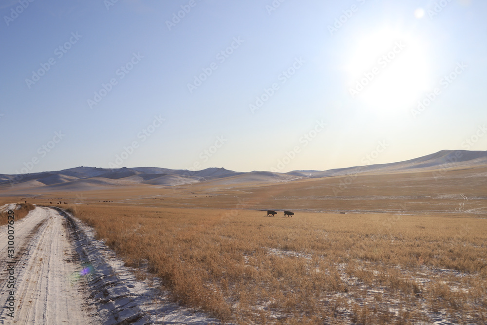 rough road rough road