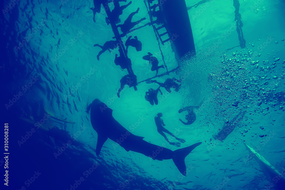 Fototapeta premium coral reef vintage toning / unusual landscape, underwater life, ocean nature