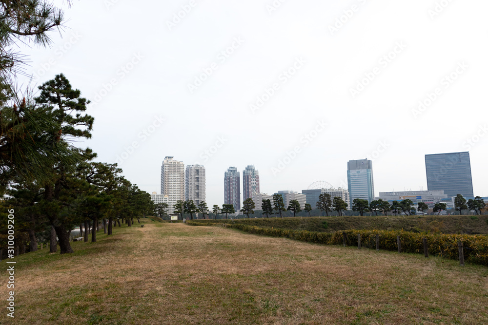 東京お台場の台場公園の風景