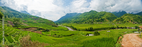 Rice paddies in Vietnam