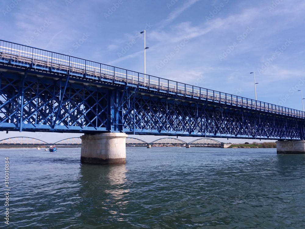 bridge over the river