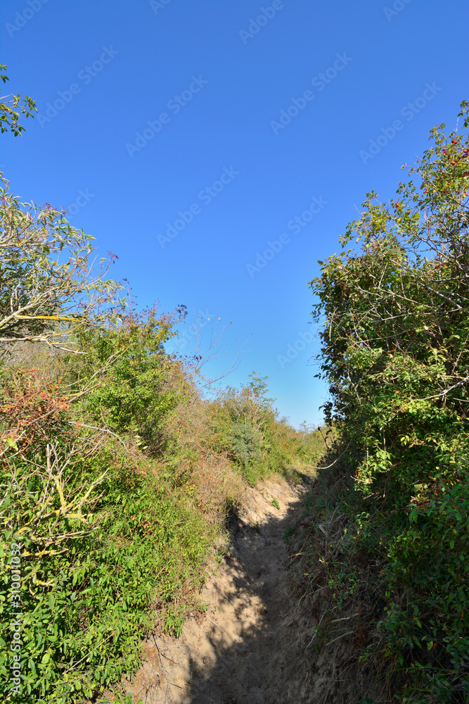 dune coxyde dune coxyde