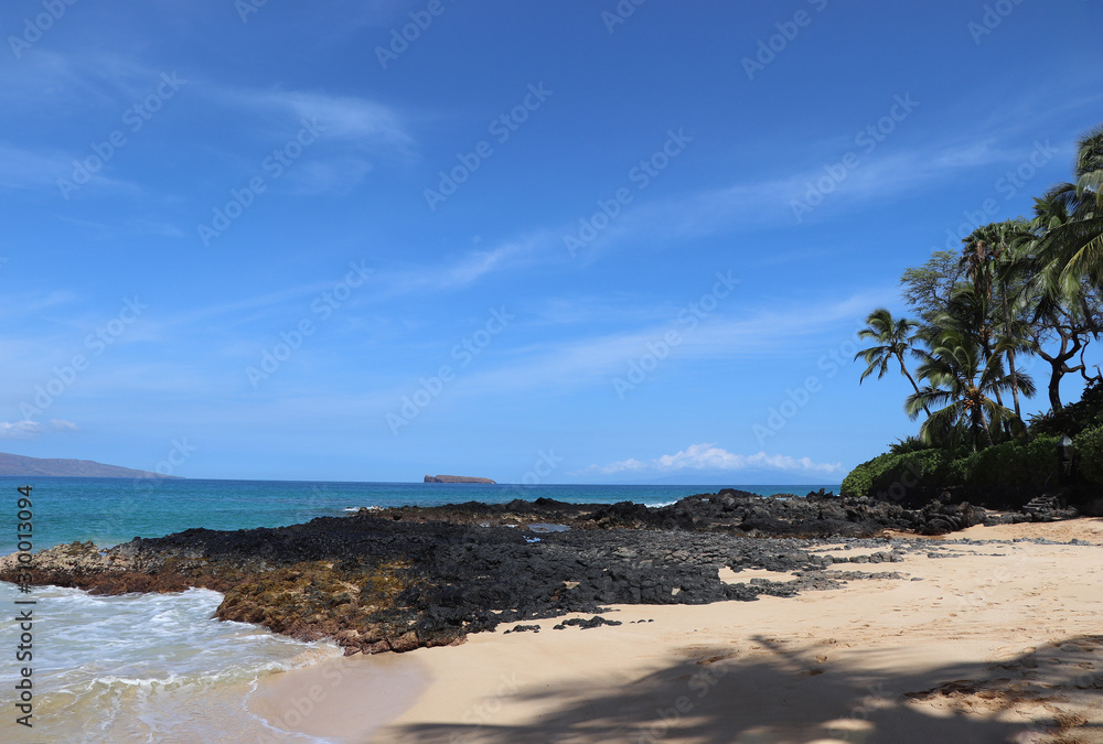 lonely bay on Hawaii Maui beach palm trees lonely bay on Hawaii Maui beach palm trees